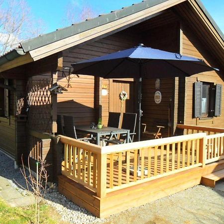 Komfortables-Ferienblockhaus-Nr-27-56-Qm-Bis-4-Personen-Viechtach-Jaegerpark Bagian luar foto